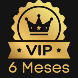 VIP 6 MESES